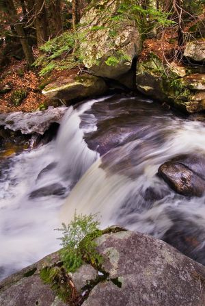 66  AQ066,7-Bicknell-Brook-falls.jpg
